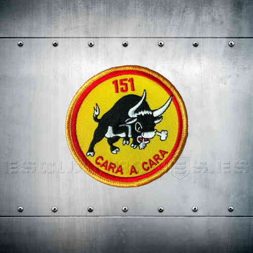 151 SQUAD 15th wing Patch.