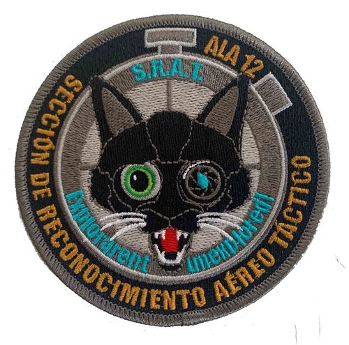 12th wing RECCE patch