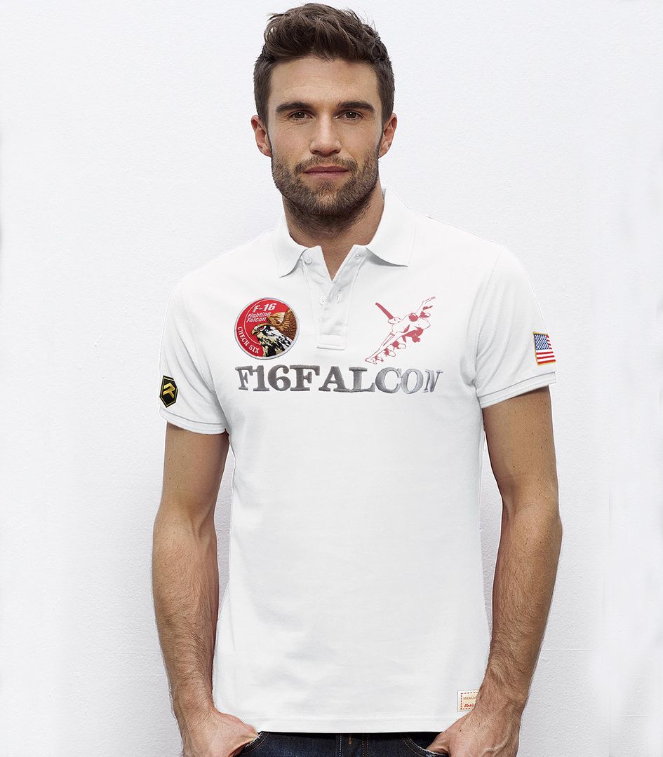 Polo F-16 Falcon USAF