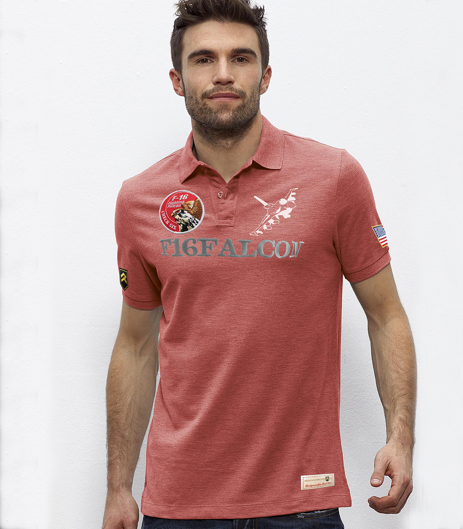 Polo F-16 Falcon USAF