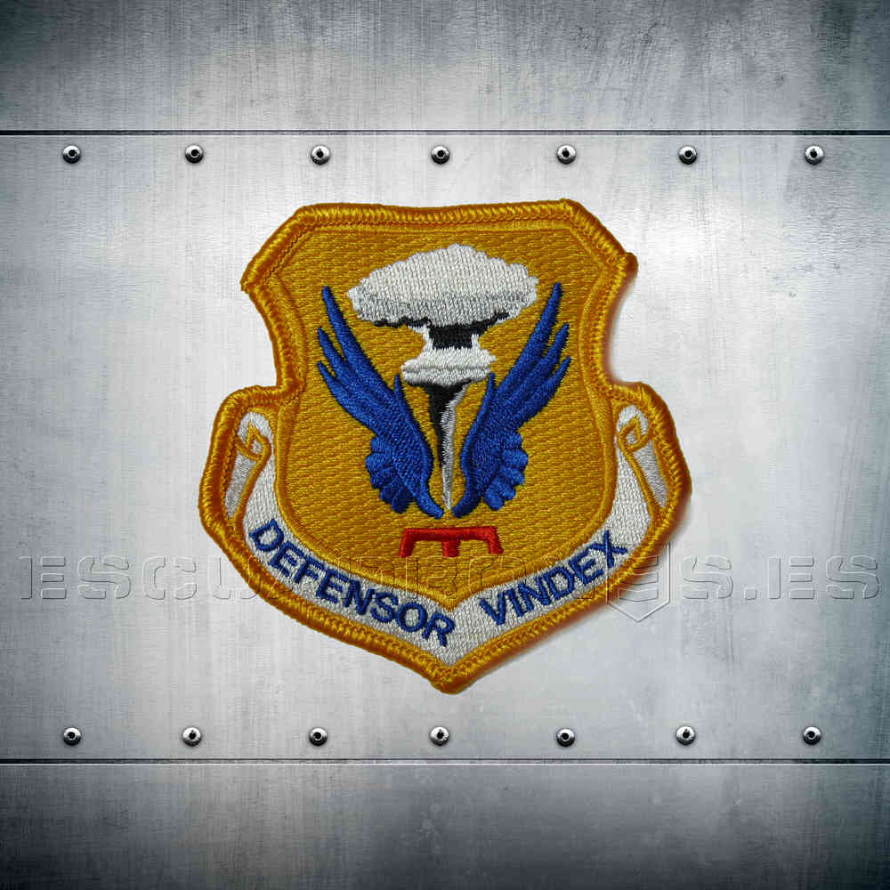 Parche Defensor Vindex.